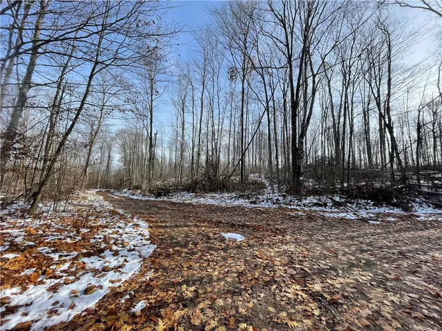 $469,900 | 443 South Branch Road, Coudersport, PA 16915