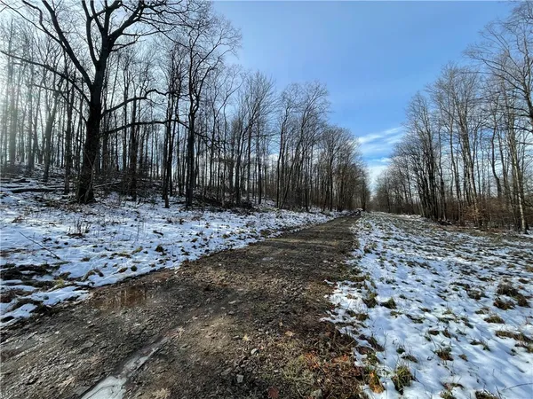 $469,900 | 443 South Branch Road, Coudersport, PA 16915