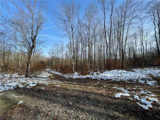 $469,900 | 443 South Branch Road, Coudersport, PA 16915