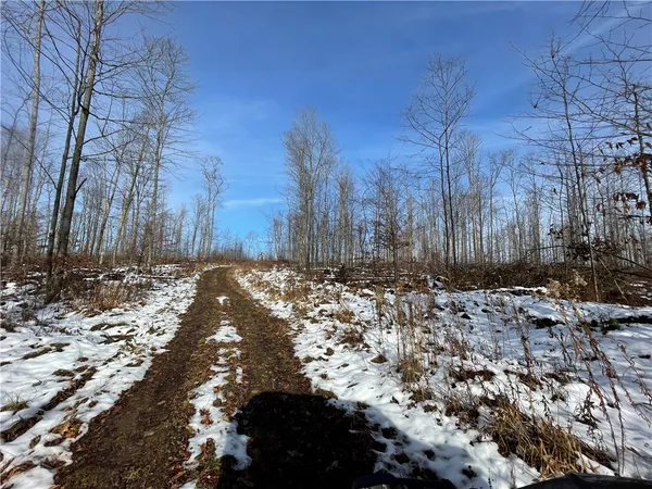 $469,900 | 443 South Branch Road, Coudersport, PA 16915