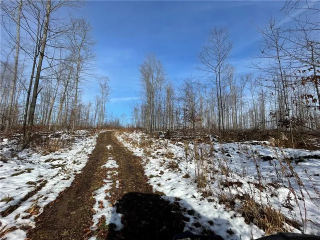 $469,900 | 443 South Branch Road, Coudersport, PA 16915