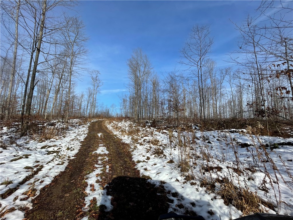 443 South Branch Road Coudersport, PA 16915 - Photo 23 of 25