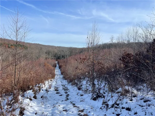 $469,900 | 443 South Branch Road, Coudersport, PA 16915