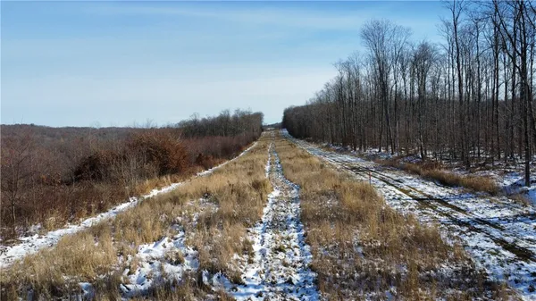 $469,900 | 443 South Branch Road, Coudersport, PA 16915