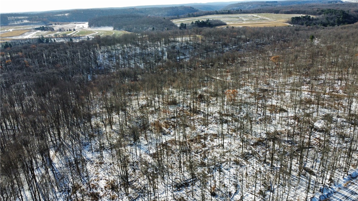 443 South Branch Road Coudersport, PA 16915 - Photo 4 of 25