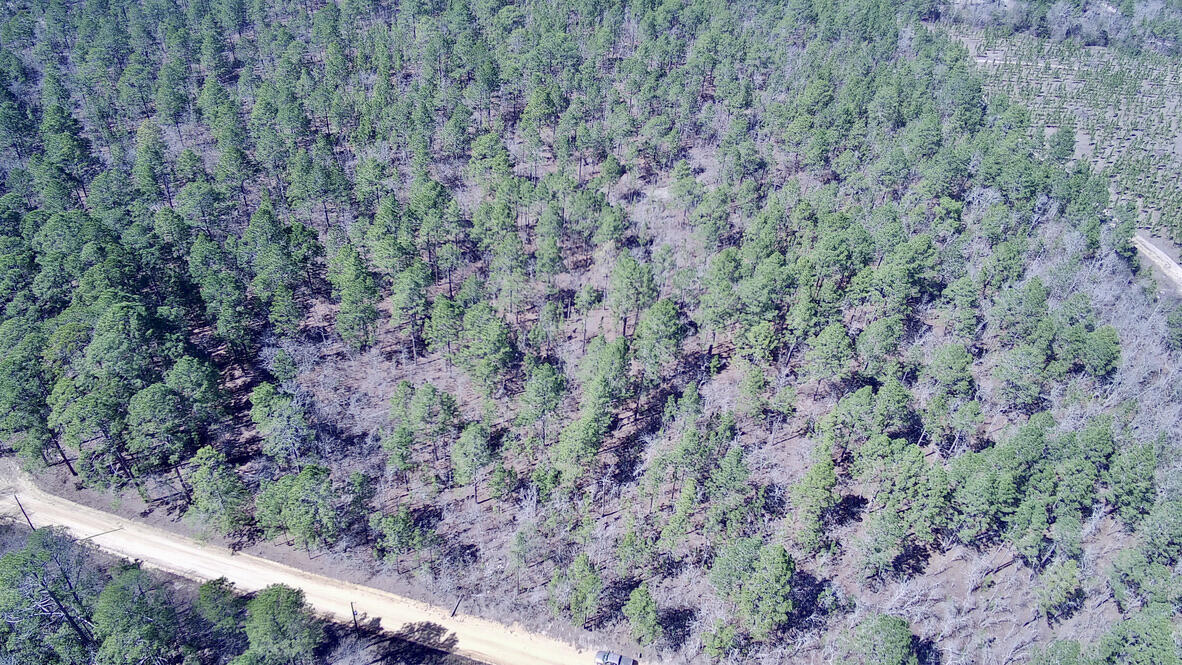 0 Jacques Haven Road Gaston, SC 29053 - Photo 15 of 15