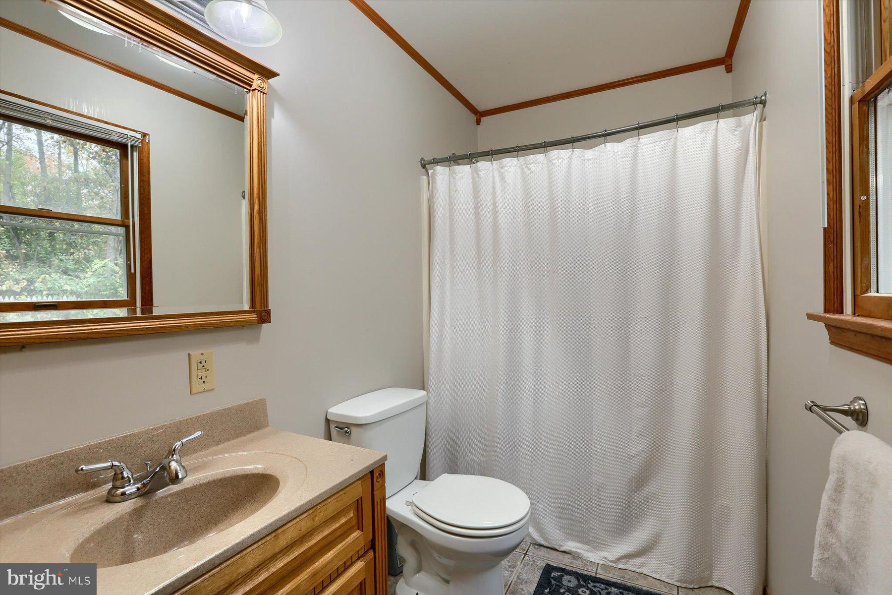 99 Richland Road Carlisle, PA 17015 - Photo 20 of 66 Primary Bathroom