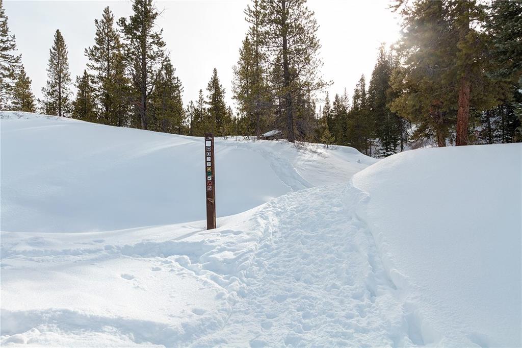 1280 Gold Run Road Breckenridge, CO 80424 - Photo 9 of 13 Gallery Image 9