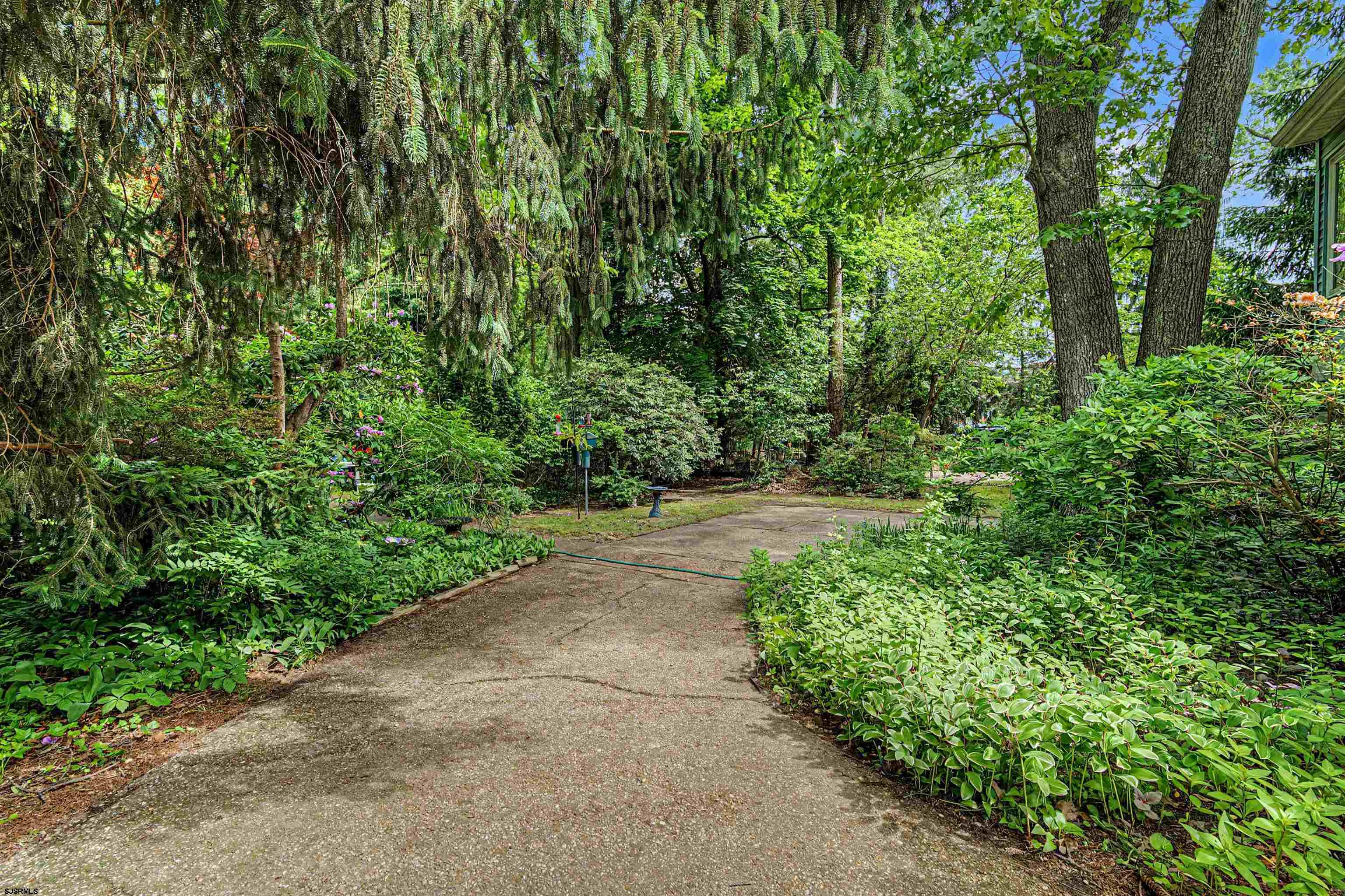 144 Pitney Road Absecon, NJ 08201 - Photo 41 of 47 a view of a yard with plants and a large trees