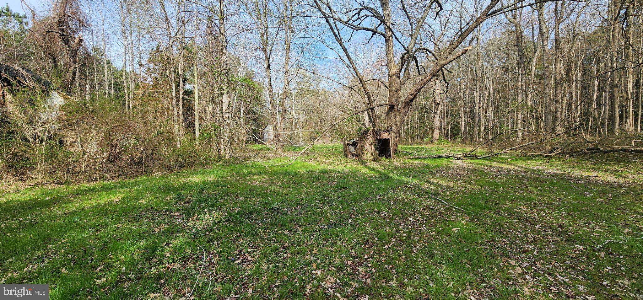 Lot 1 C Road Girdletree, MD 21829 - Photo 1 of 4 Serene woodland retreat awaits discovery.