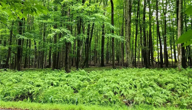 a view of small garden