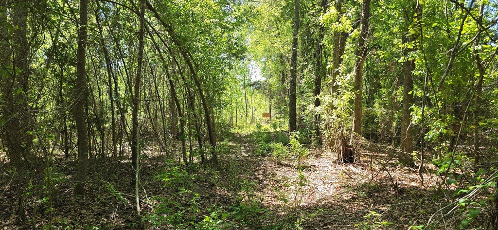 800 Grady Garner Road Slocomb, AL 36375 - Photo 17 of 49