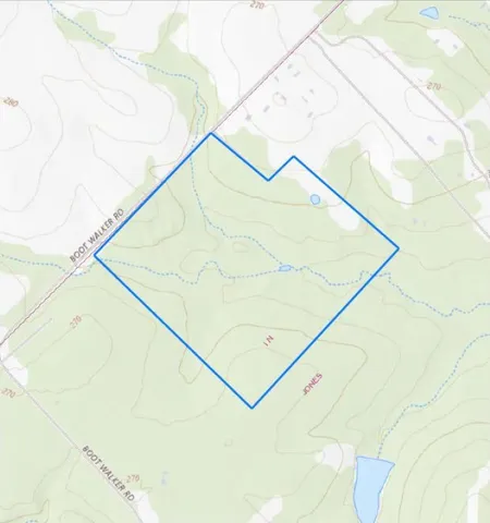 a view of a lush green forest