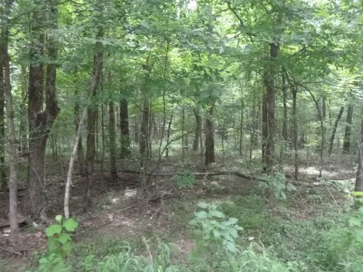 $405,000 | 214 County Road 3222, Jefferson, TX 75657