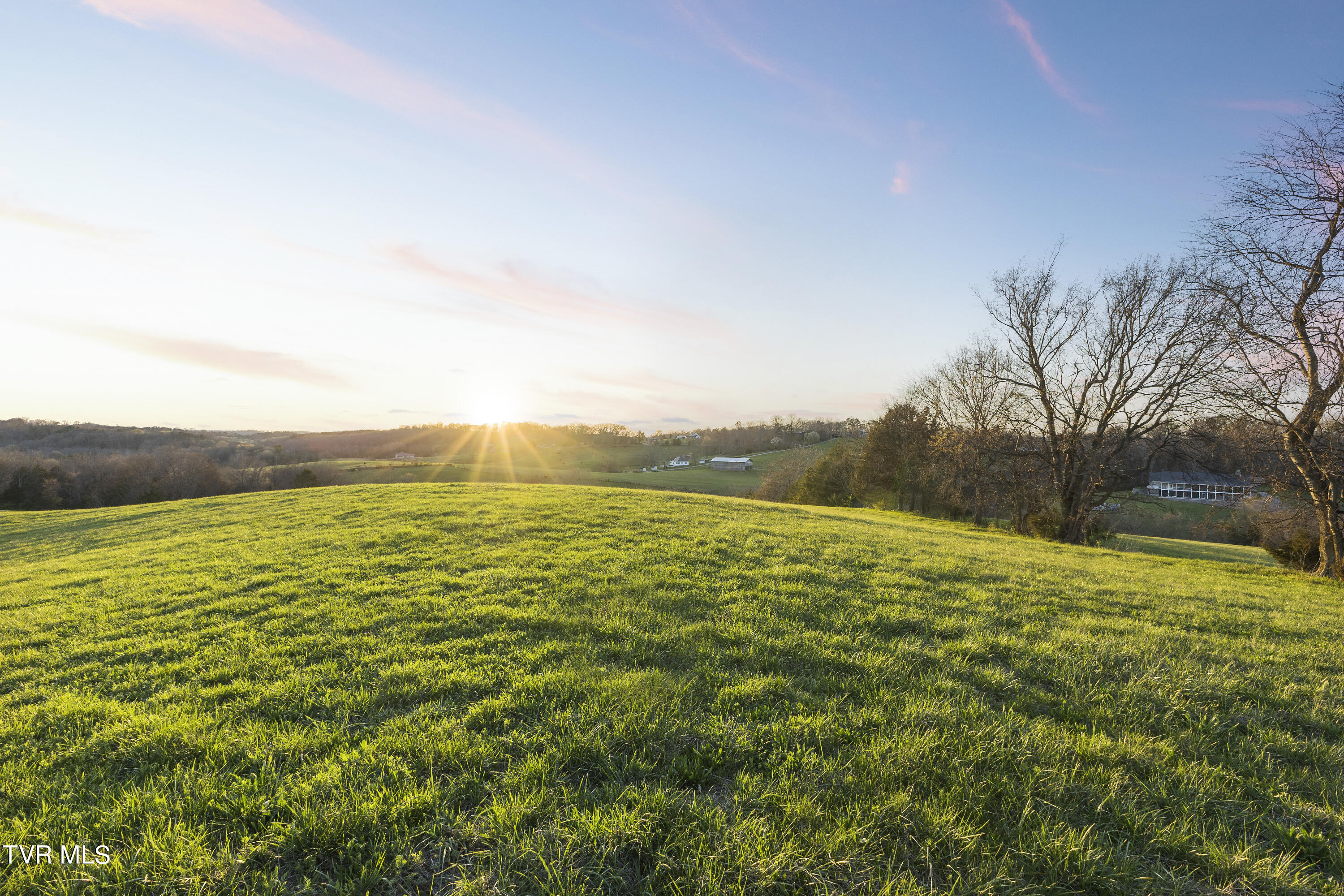 945 West Allens Bridge Road Greeneville, TN 37743 - Photo 45 of 53 44