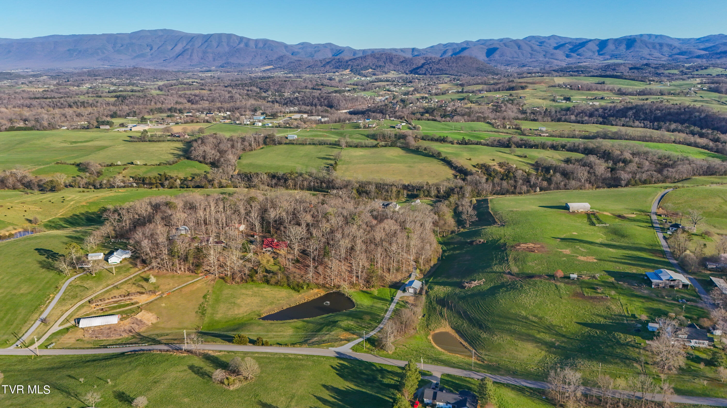 945 West Allens Bridge Road Greeneville, TN 37743 - Photo 50 of 53 49