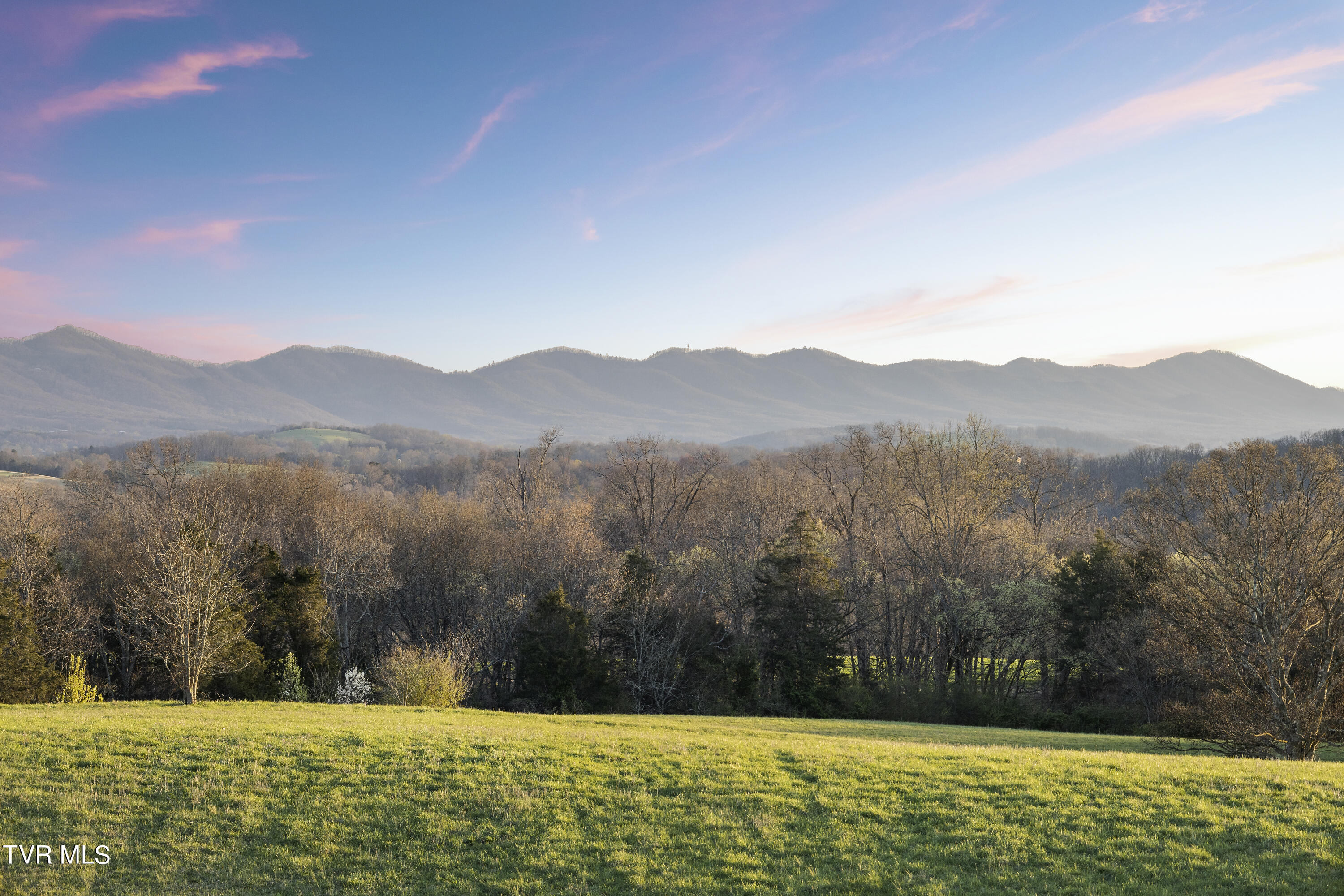 945 West Allens Bridge Road Greeneville, TN 37743 - Photo 52 of 53 51