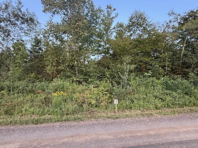 B McDonald Road Mapleton, ME 04757 - Photo 2 of 6 thumbnail_IMG_1049