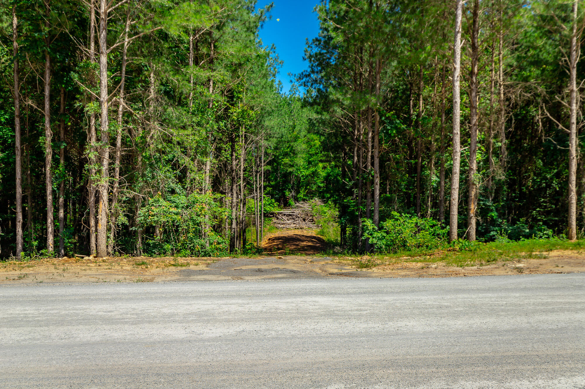 0 Split Rail Way, Unit LOT 1163 Guild, TN 37340 - Photo 23 of 118 River Gorge Lot 1163 HD-6
