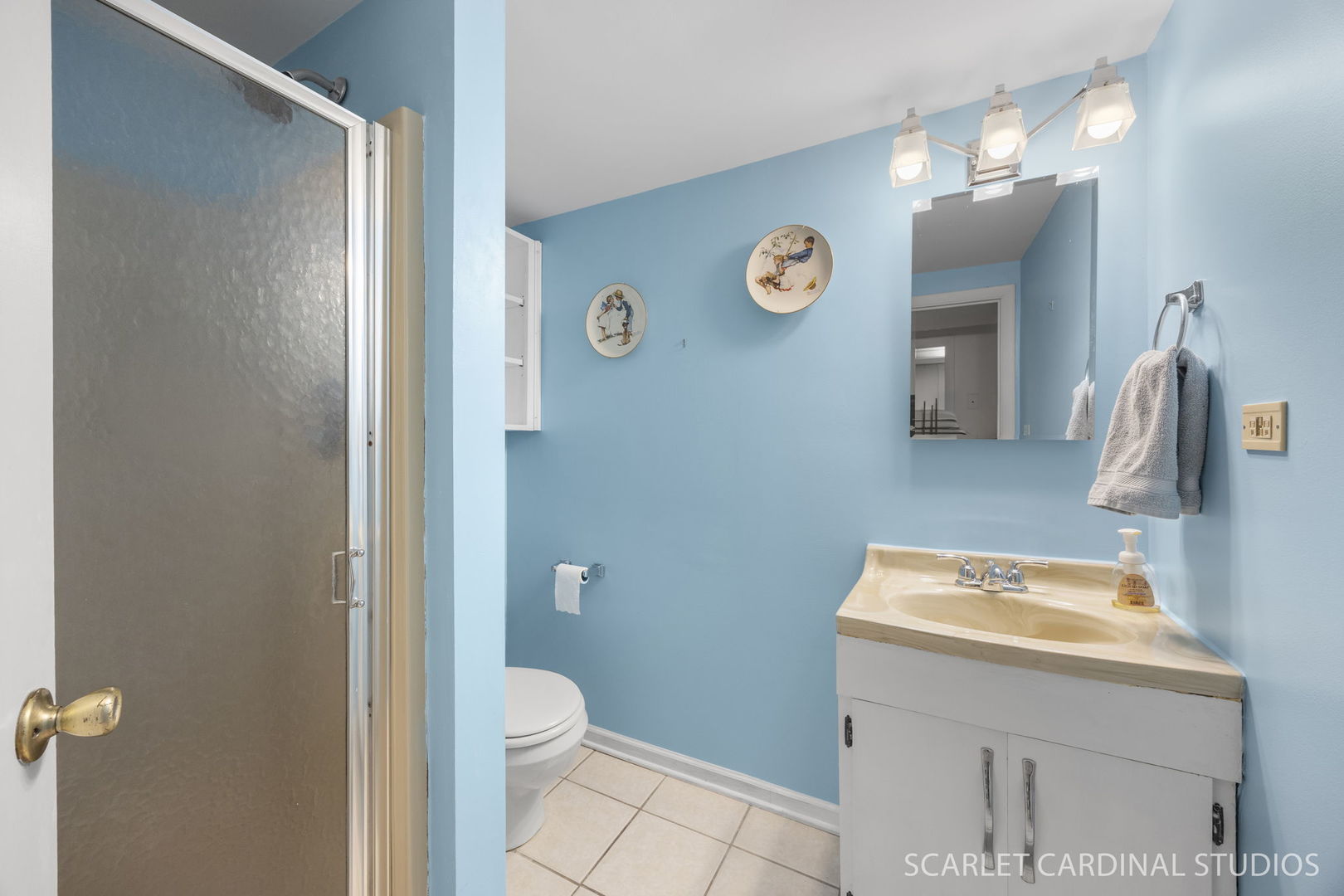 314 East Jefferson Avenue Wheaton, IL 60187 - Photo 34 of 41 a bathroom with a sink a toilet and mirror