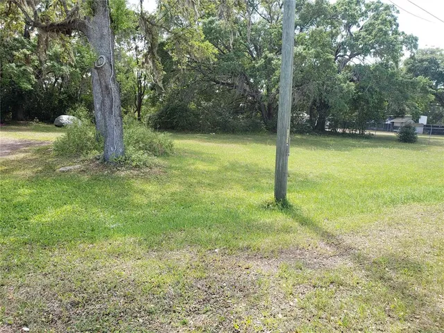 a view of a yard with a tree