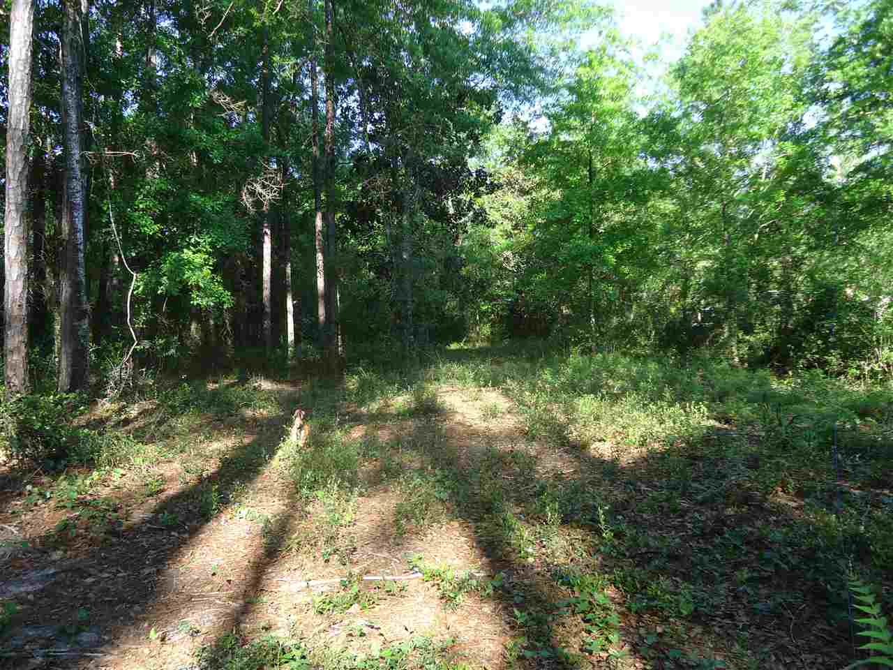 0 Hammock Road Elberta, AL 36530 - Photo 5 of 15