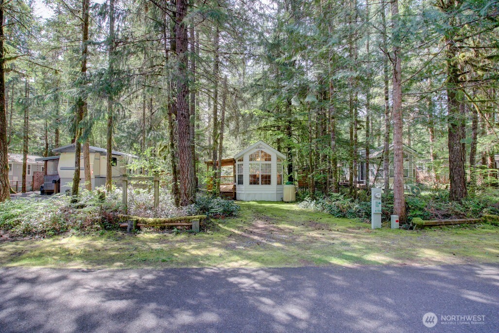134 Drial Loop Maple Falls, WA 98266 - Photo 23 of 36 a view of backyard with green space