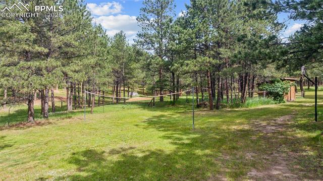 10760 Hardy Road Colorado Springs, CO 80908 - Photo 38 of 42 Gallery Image 38