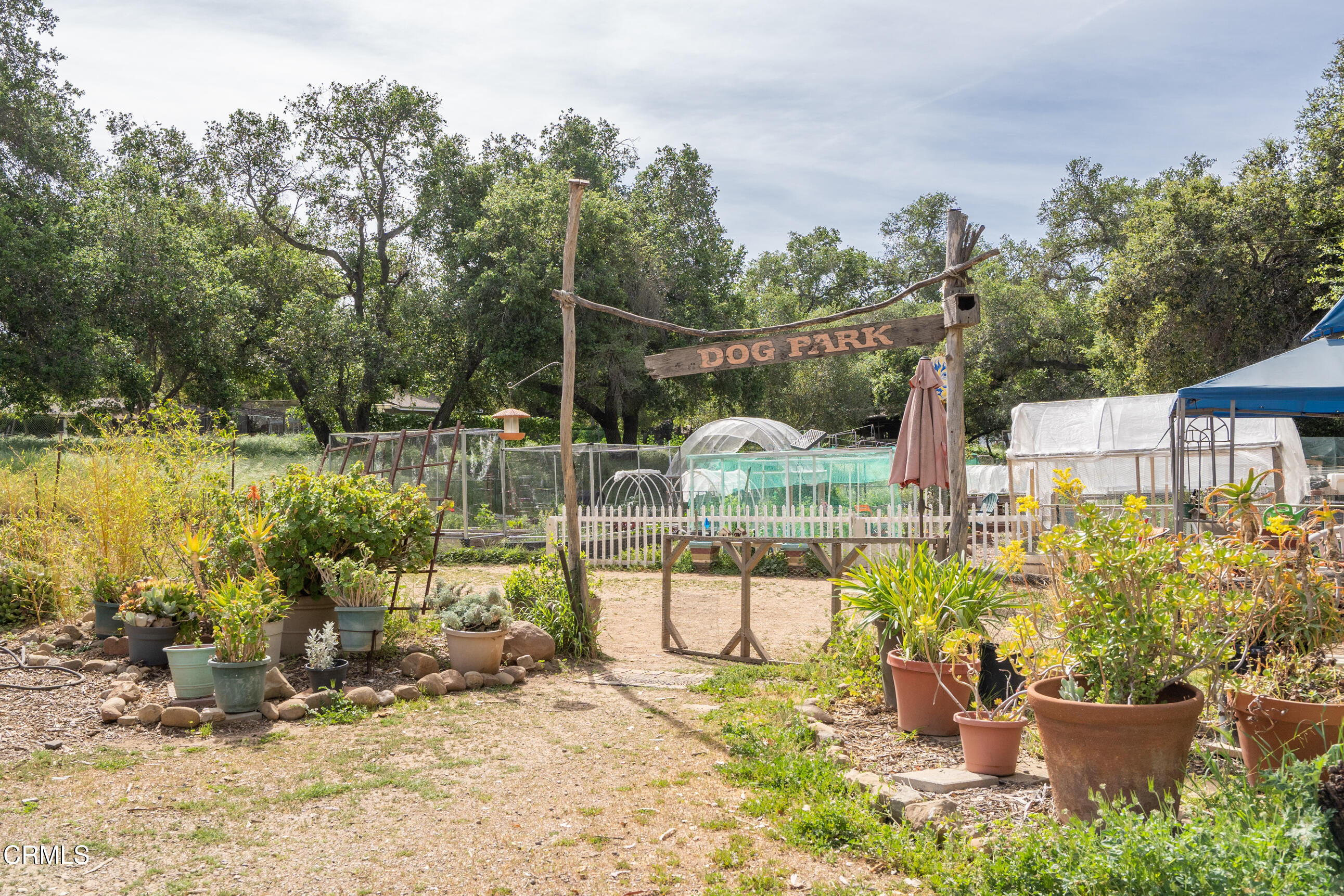 1273 South Rice Road, Unit 42 Ojai, CA 93023 - Photo 28 of 29 Goldenoaksdogpark