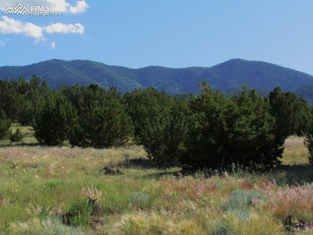 420 Twin Creek Road Florence, CO 81226 - Photo 28 of 33 Gallery Image 28