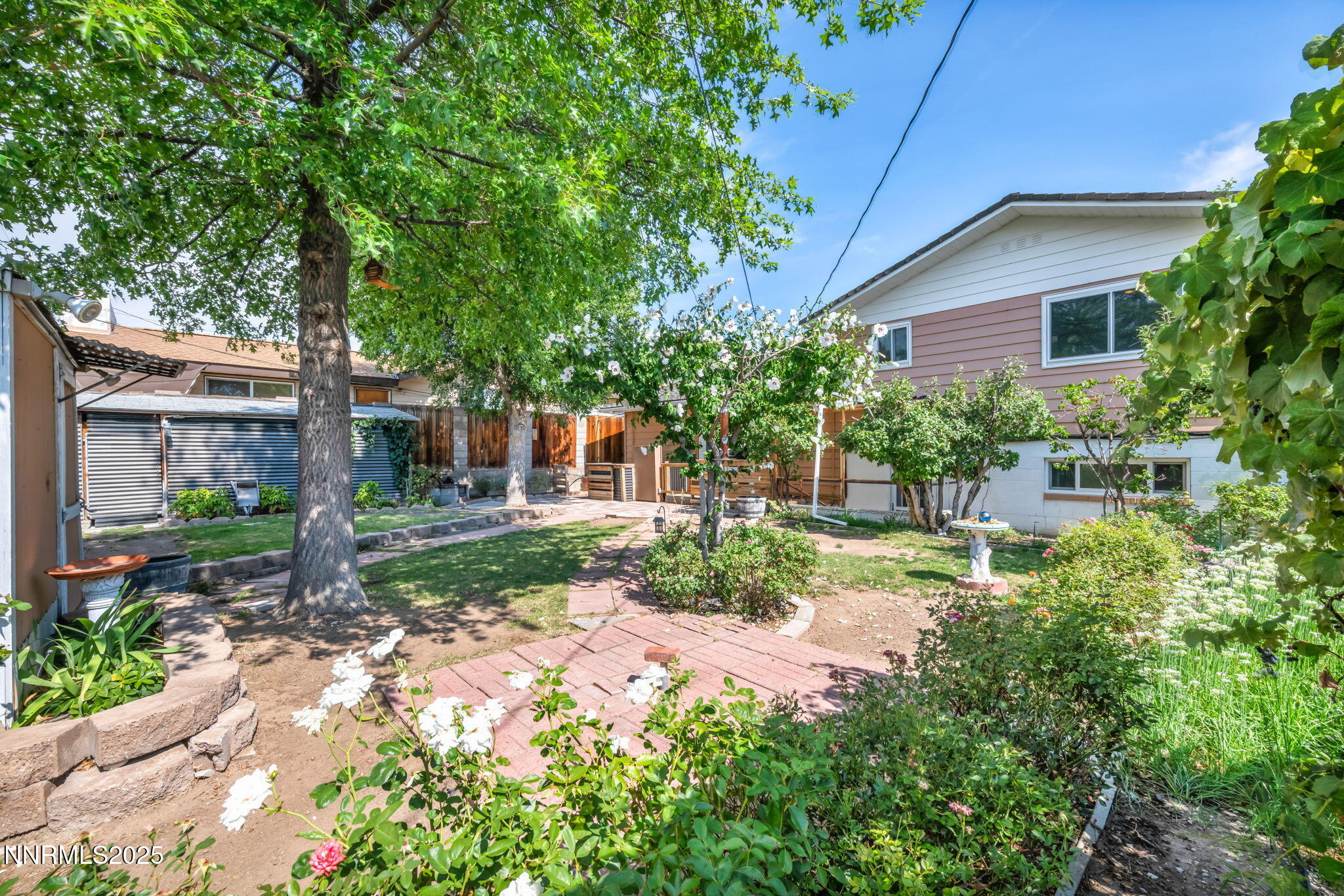 3570 West 7th Street Reno, NV 89503 - Photo 42 of 45 a backyard of a house with plants and large tree