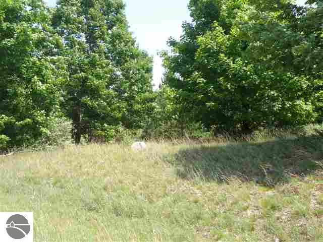 0 Graves Road, Unit LOT: A Copemish, MI 49625 - Photo 4 of 11