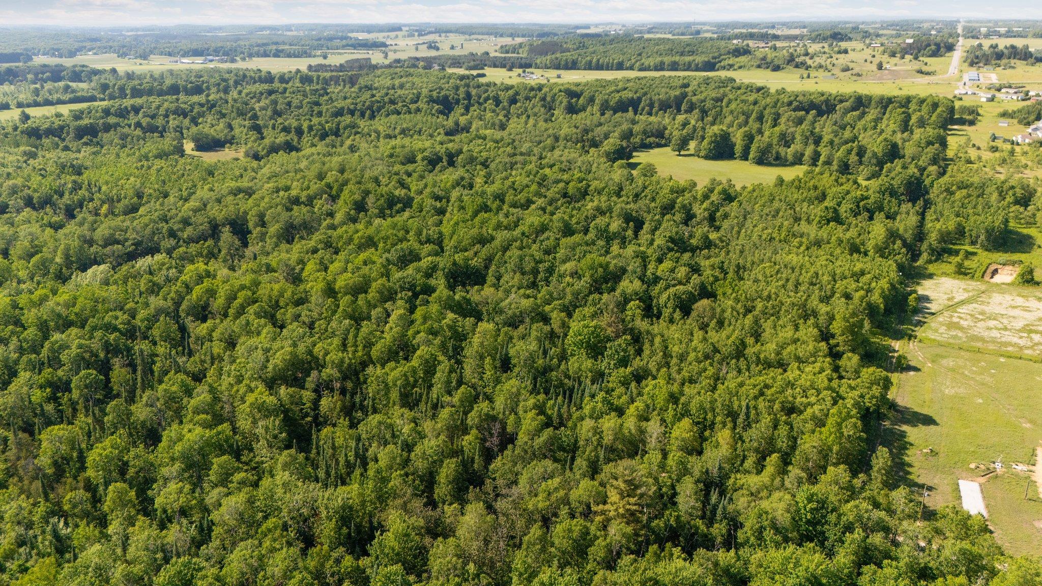 Parcels B Sands Road Buckley, MI 49620 - Photo 14 of 53