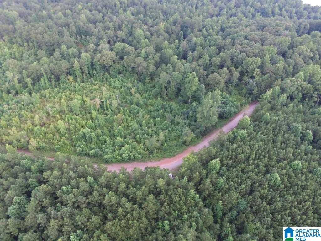 99 County Road, Unit 39 Wedowee, AL 36278 - Photo 9 of 11