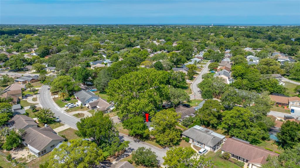 8705 Powderhorn Row Hudson, FL 34667 - Photo 46 of 49