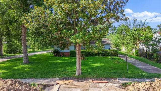 a view of a backyard with large trees