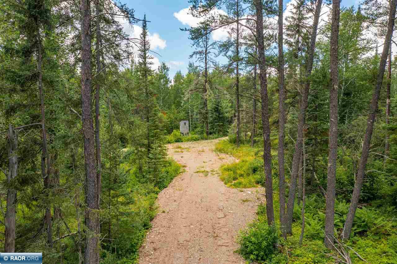 Tbd Wakely Road Cook, MN 55723 - Photo 4 of 14