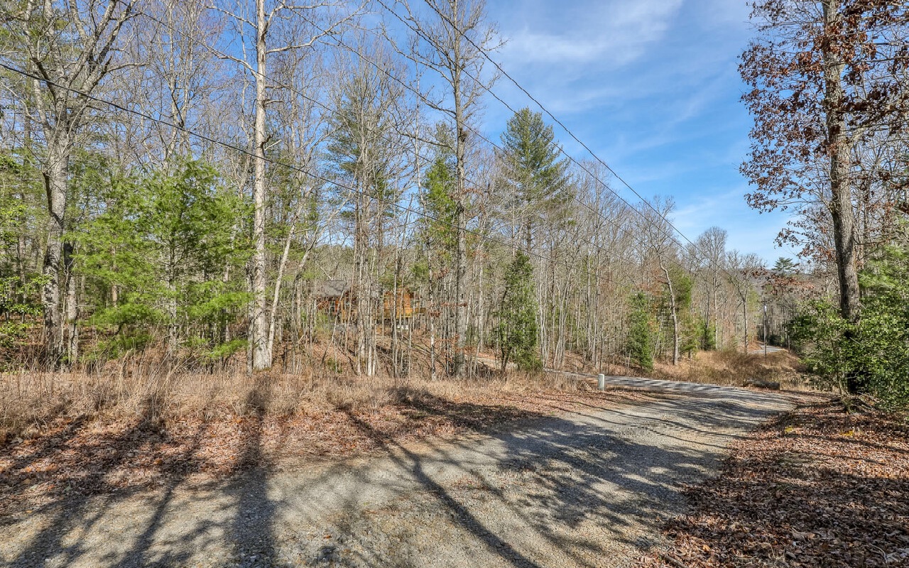 8022 Cutcane Road Mineral Bluff, GA 30559 - Photo 45 of 45 Additional View