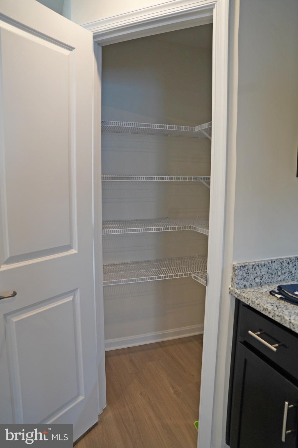 263 Ellery Street Ranson, WV 25438 - Photo 9 of 38 a view of walk in closet with empty racks
