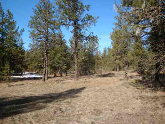 292-xx West Tucker Prairie Road Cheney, WA 99004 - Photo 1 of 1