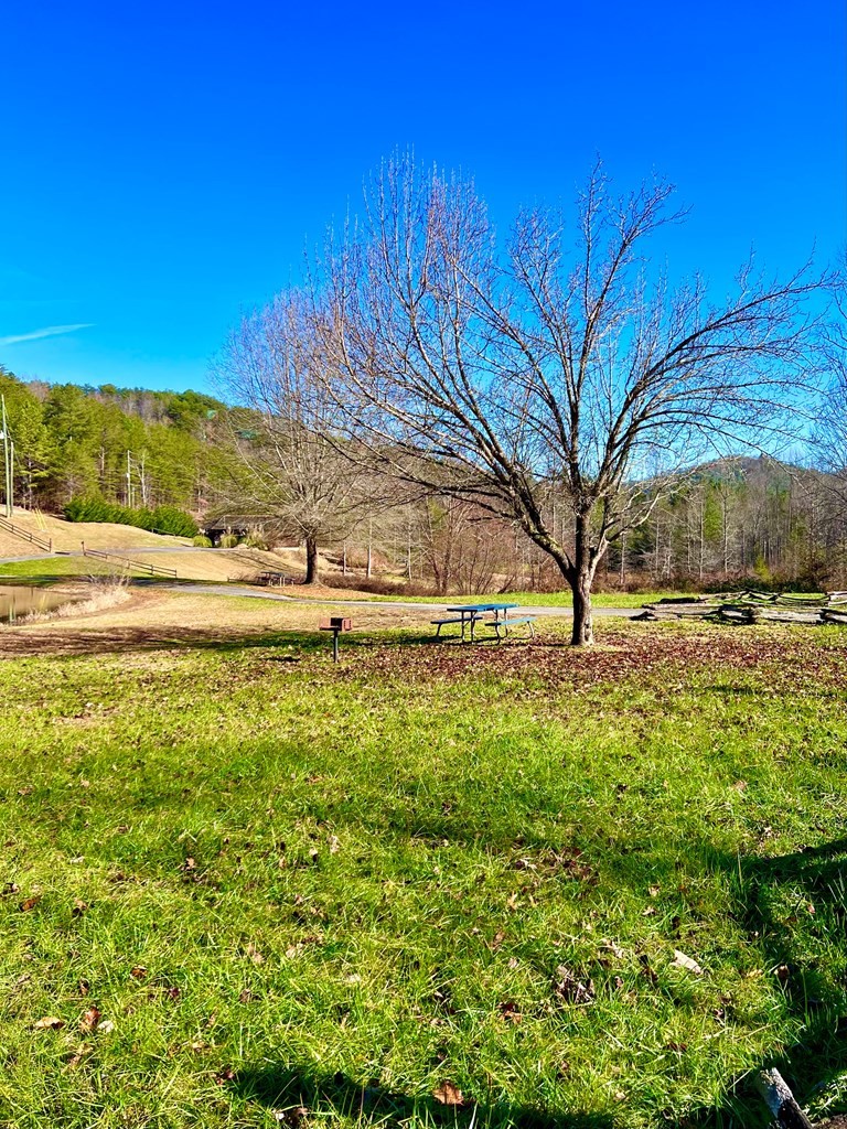 2509 Raccoon Hollow Way Sevierville, TN 37862 - Photo 22 of 23 Gallery Image 22