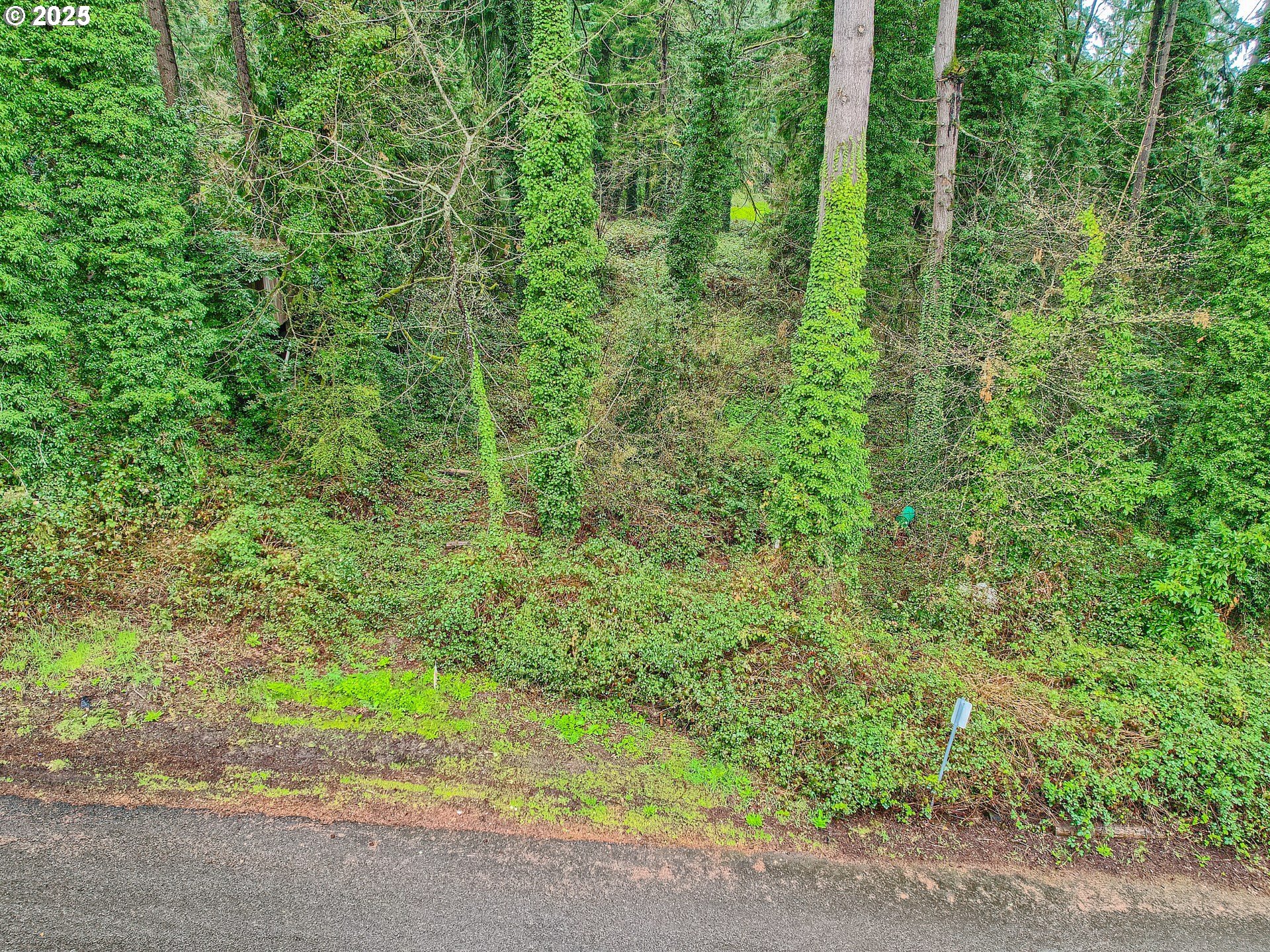 0 Southeast Minerva Road Milwaukie, OR 97267 - Photo 5 of 12