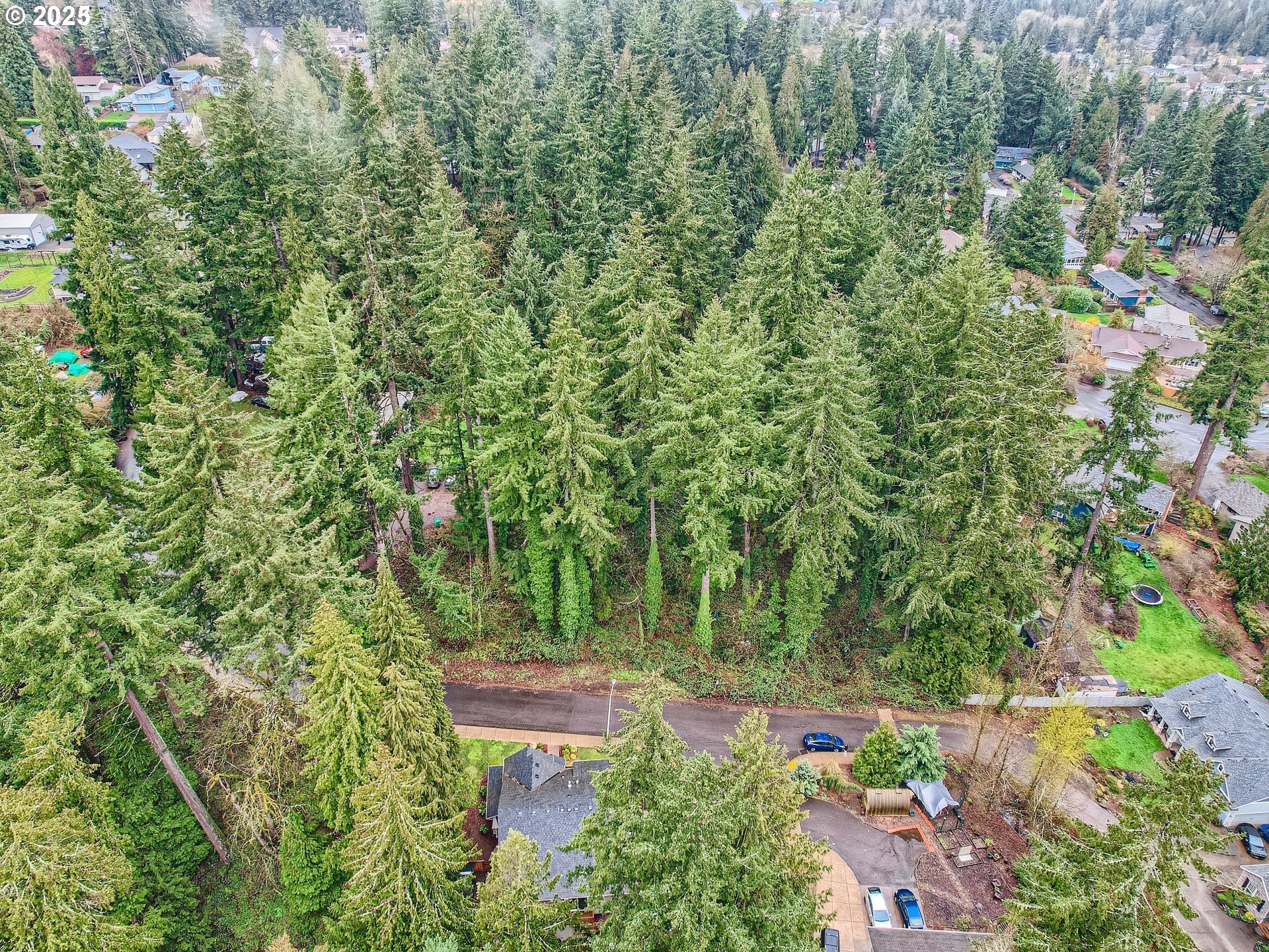 0 Southeast Minerva Road Milwaukie, OR 97267 - Photo 7 of 12