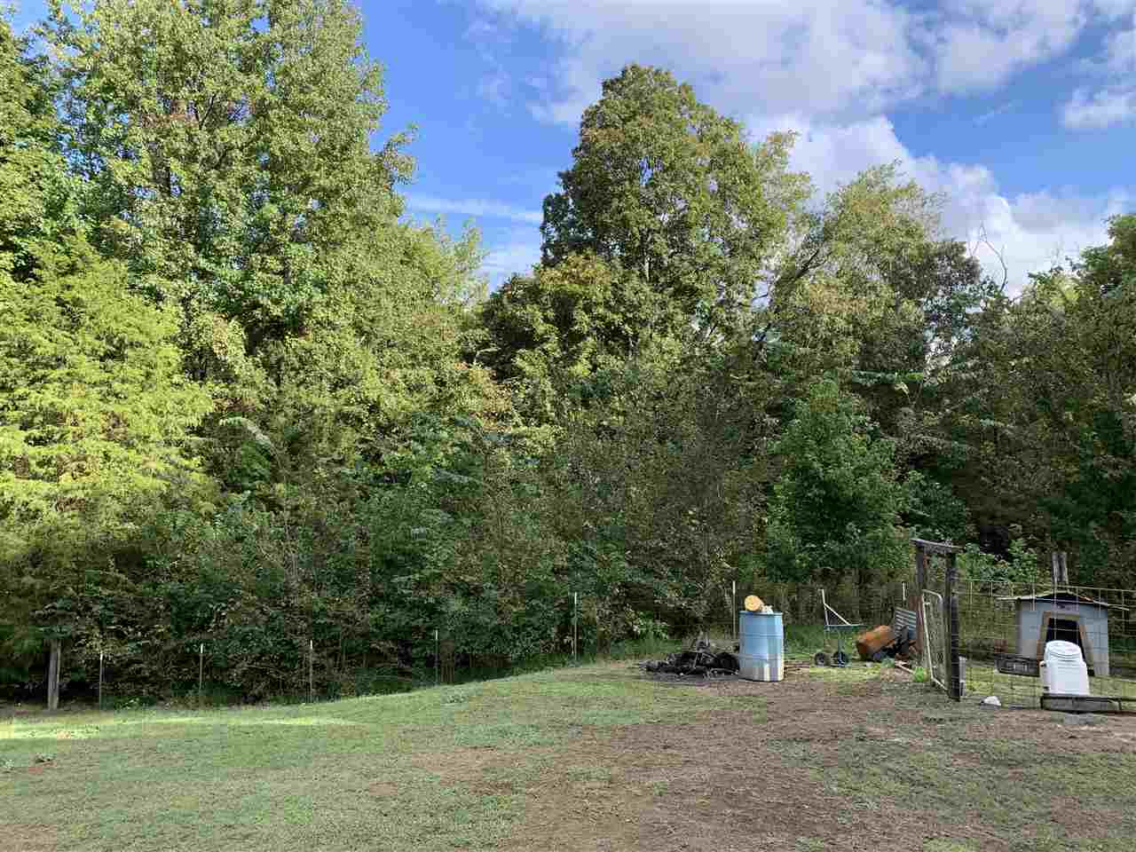 6884 Conner Whitefield Road Ripley, TN 38063 - Photo 14 of 16 a view of a park with large trees