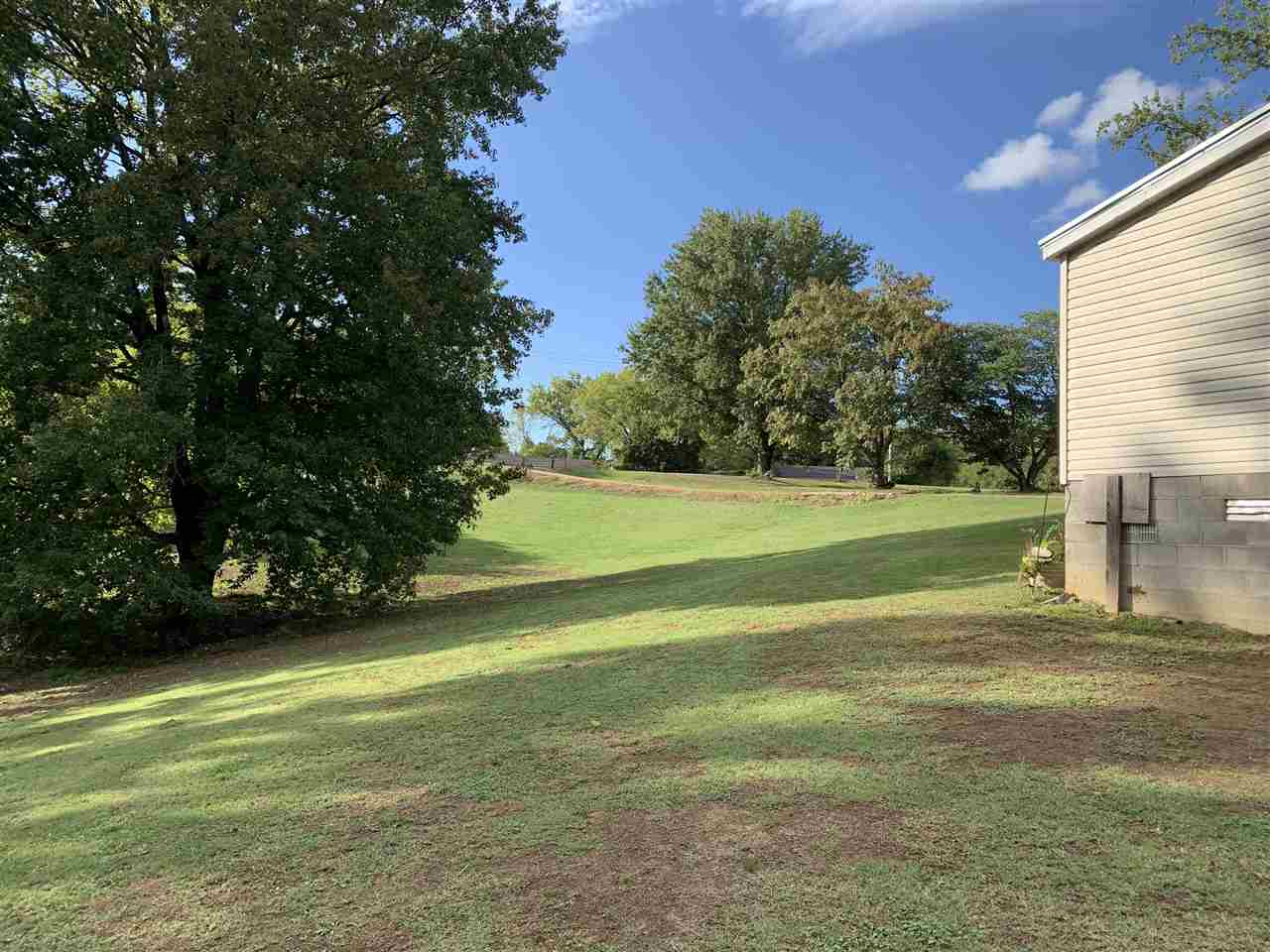 6884 Conner Whitefield Road Ripley, TN 38063 - Photo 15 of 16 a view of a field with a trees in the background