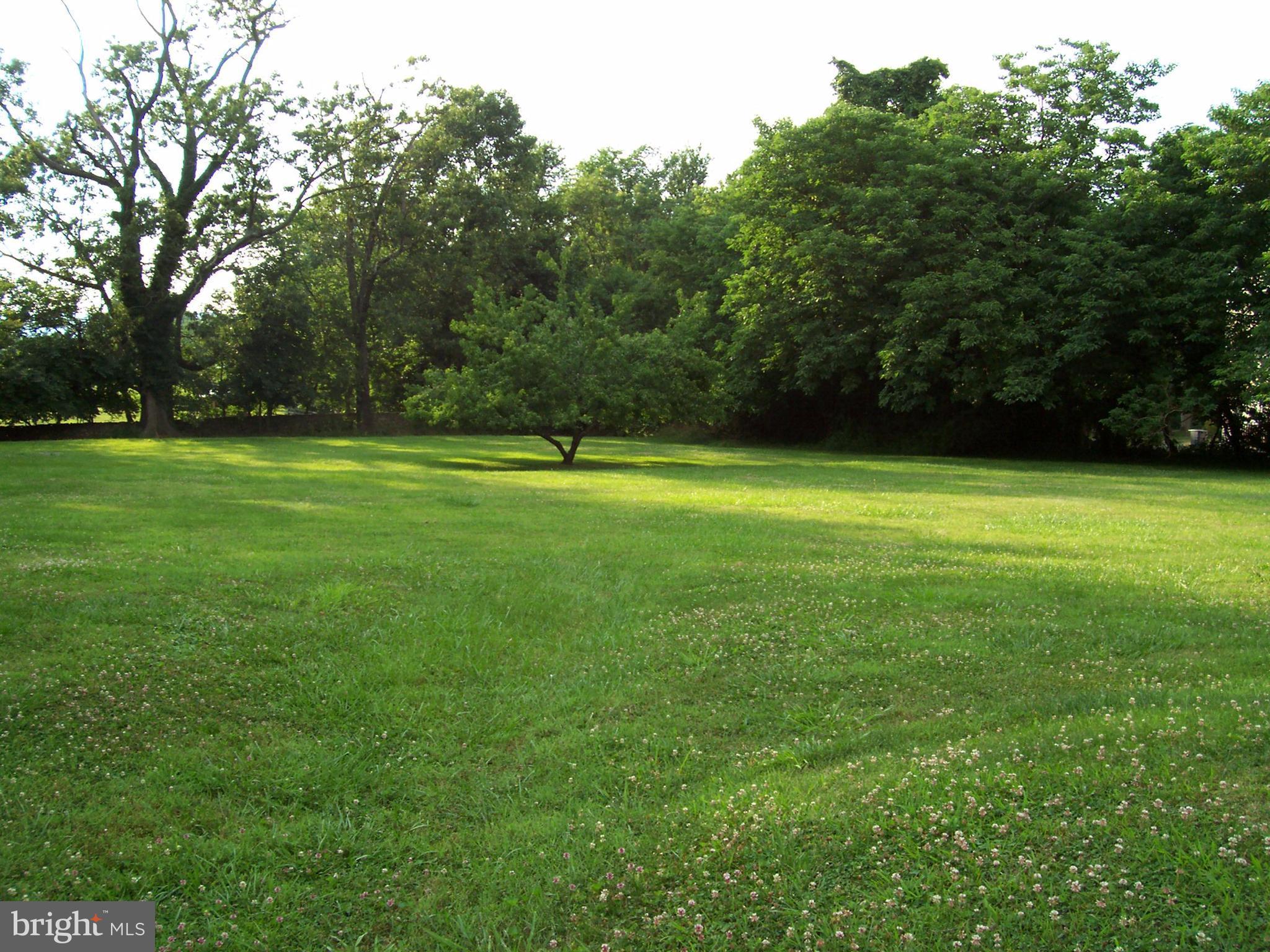 22345 St Louis Road Middleburg, VA 20117 - Photo 17 of 26 Exterior (Rear)