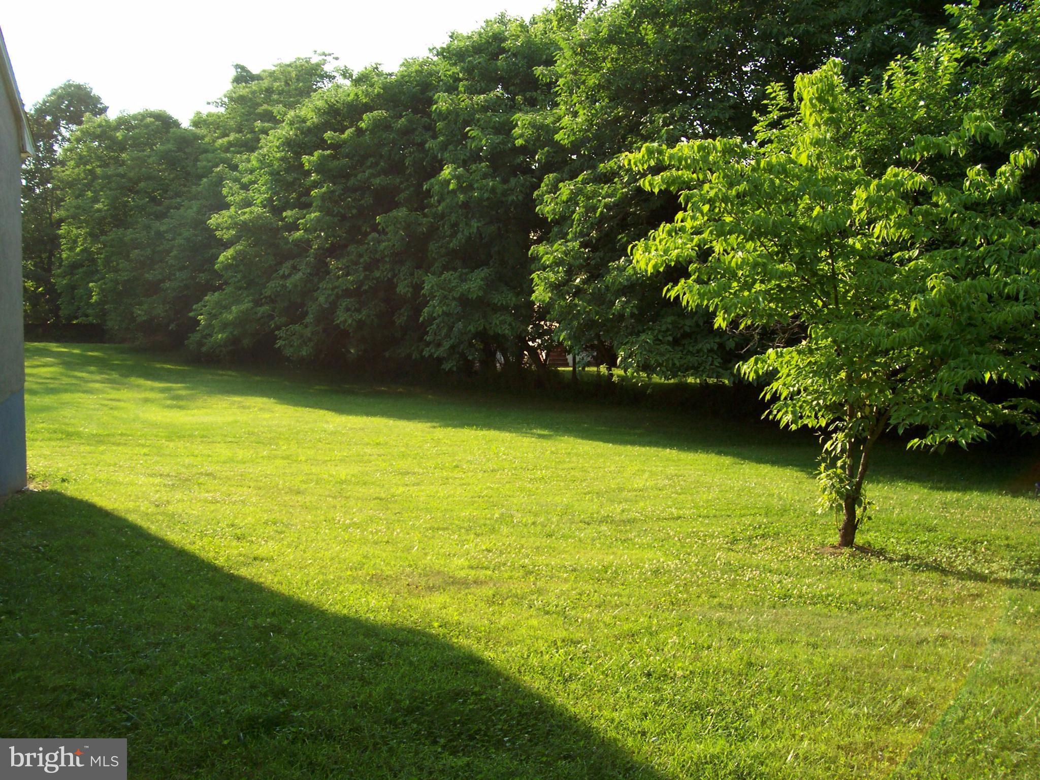 22345 St Louis Road Middleburg, VA 20117 - Photo 18 of 26 partial view of back yard