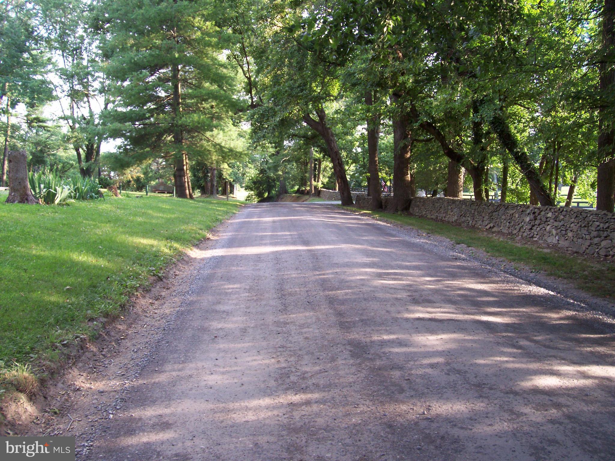 22345 St Louis Road Middleburg, VA 20117 - Photo 3 of 26 country road behind the house