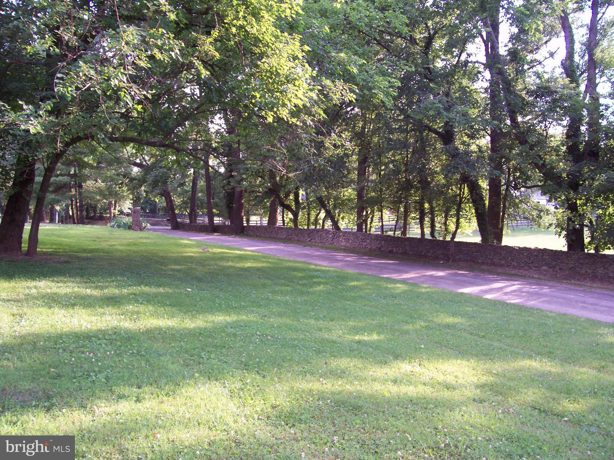 22345 St Louis Road Middleburg, VA 20117 - Photo 23 of 26 view taken from the back yard