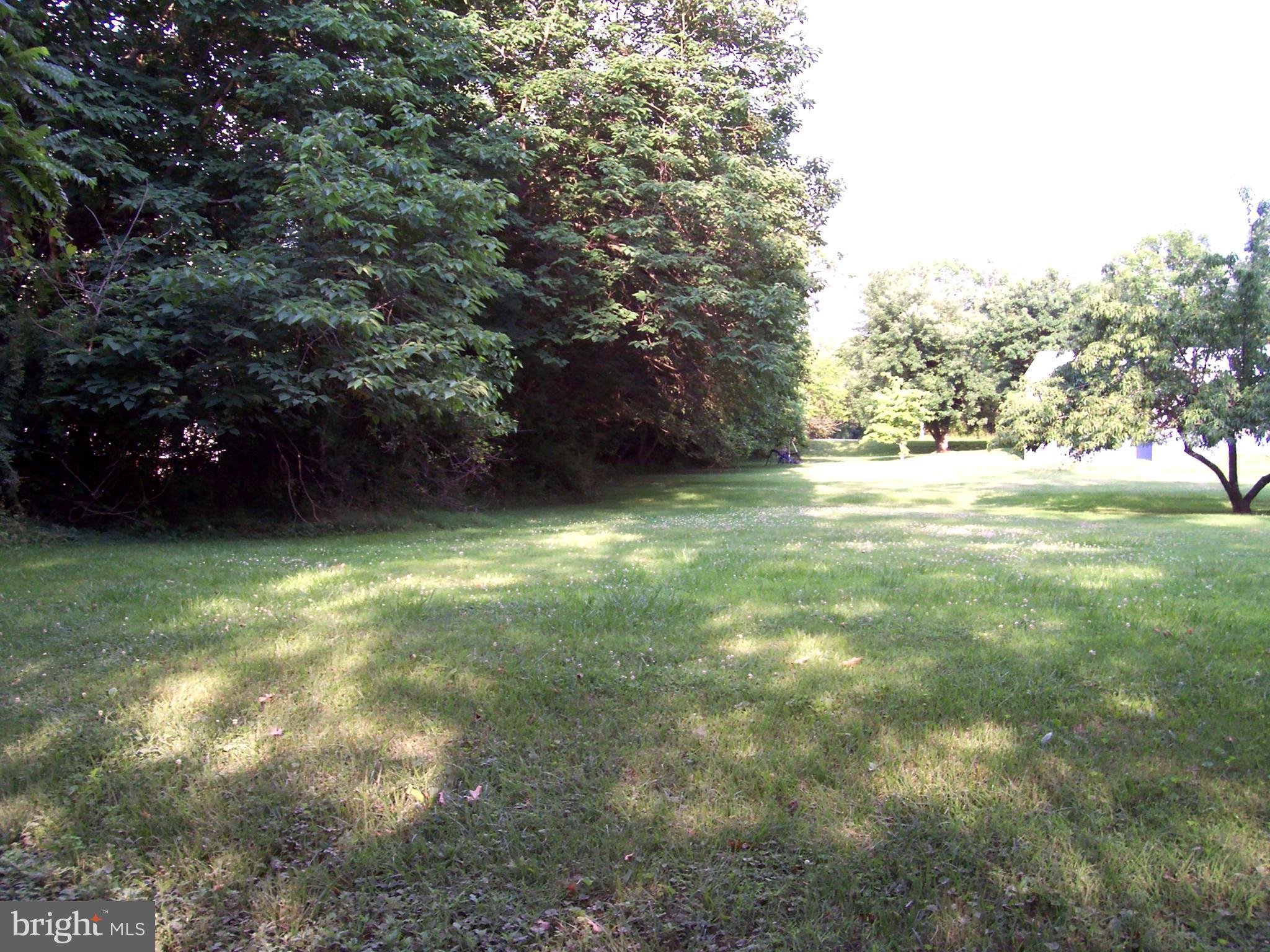 22345 St Louis Road Middleburg, VA 20117 - Photo 24 of 26 Exterior (Rear)